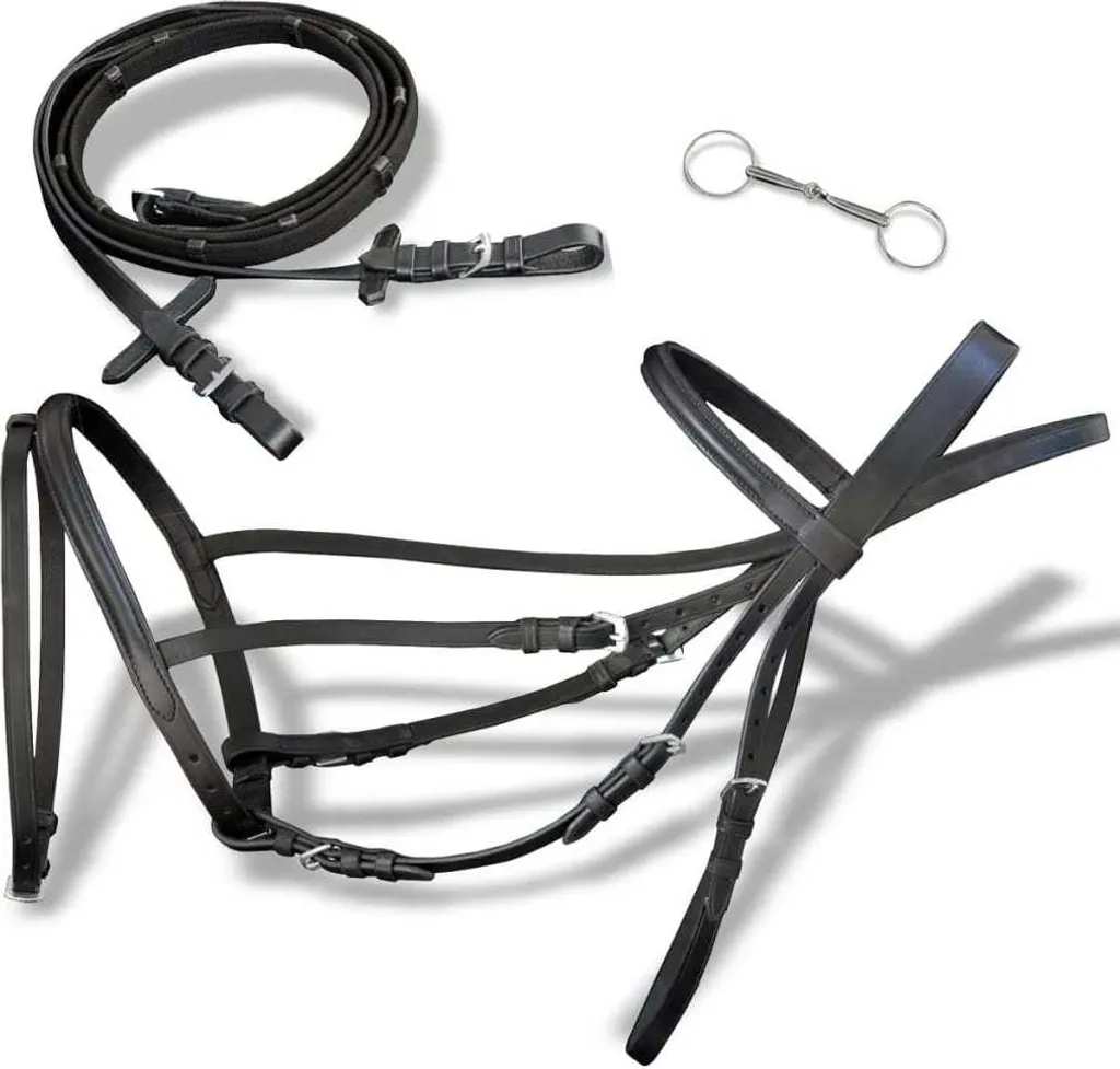 Ensemble bridon en cuir noir et mors à piston pour entraînement club