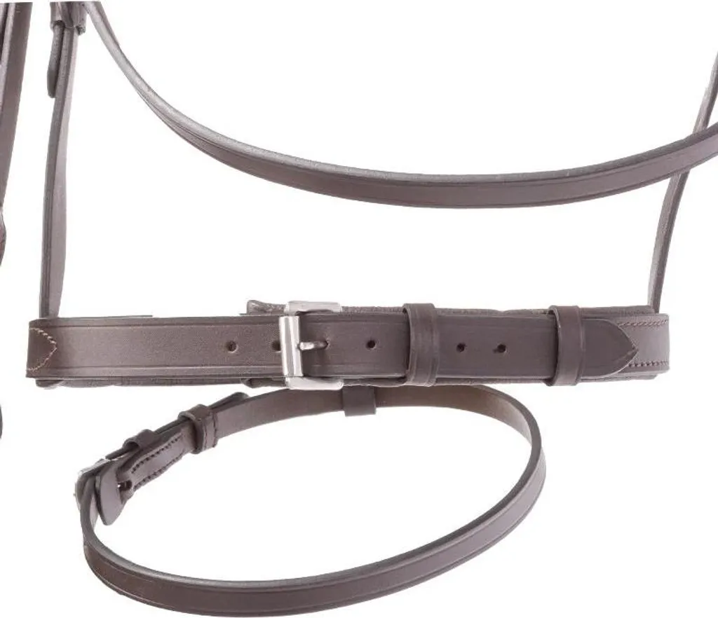 Kavalkade Quentin Ecoline Marrone Warmblood Extra - Testiera Inglese - 3