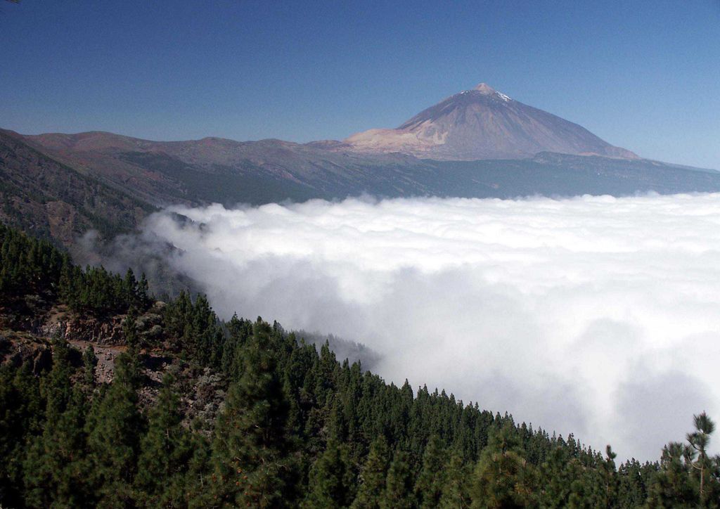 hansepuzzle 14857 - Nebel Puzzle, 260 Teile, Natur, 41,0 x 28,0cm mit hochwertiger Aufbewahrung, Kartonbox und wiederverschließbarem Beutel