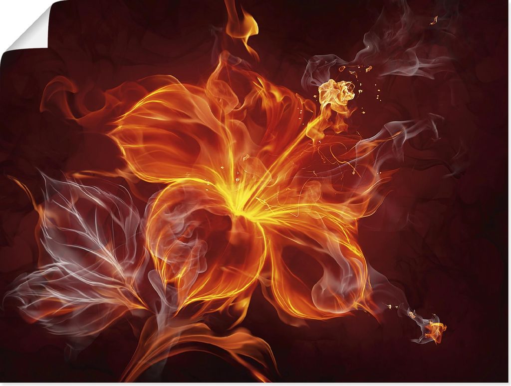 ARTland Poster Feuerblume Größe: 60x45 cm