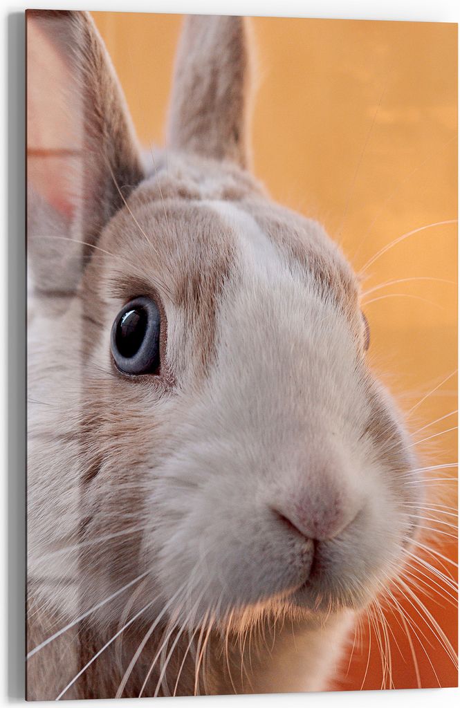 DEQORI Magnettafel Glas 60x90 cm 'Augen der Ruhe' beschreibbar Whiteboard Pinnwand Küche