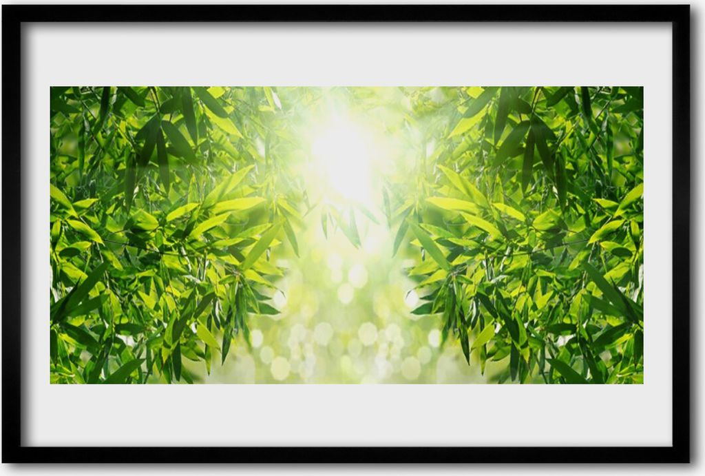 Bild 60x40 MDF-Rahmen Wandkunst Blätter Natur Pflanze