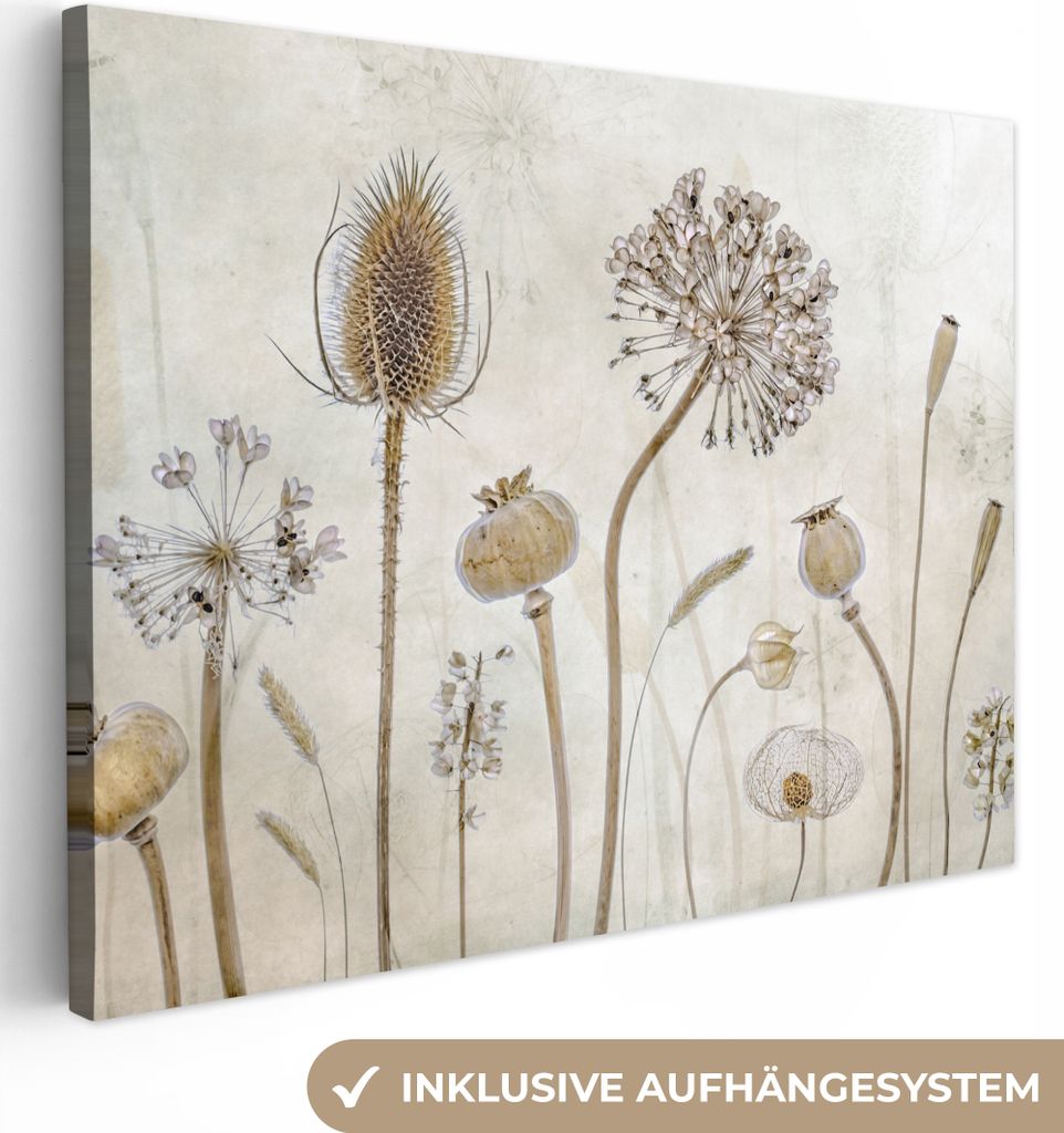 MuchoWow - Leinwandbilder - Blumen - Aquarell - Stilleben - Braun - Vintage, Wandbild, Wanddeko Bilder Wohnzimmer, 80x60 cm