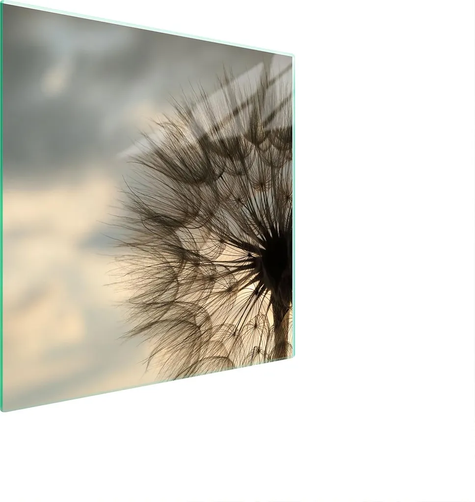 Piastra Di Protezione In Vetro Per Levatori 50X52 Blume