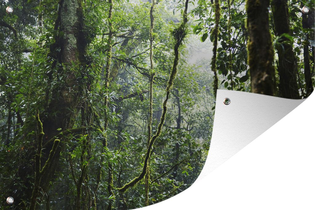 MuchoWow 90x60 cm Outdoor-Poster Gartendeko Sichtschutz Garten Poster für den Garten Tropischer Regenwald