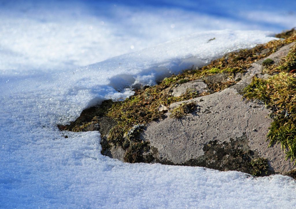 hansepuzzle 69779 - Finnland Puzzle, 260 Teile, Natur, 41,0 x 28,0cm mit hochwertiger Aufbewahrung, Kartonbox und wiederverschließbarem Beutel