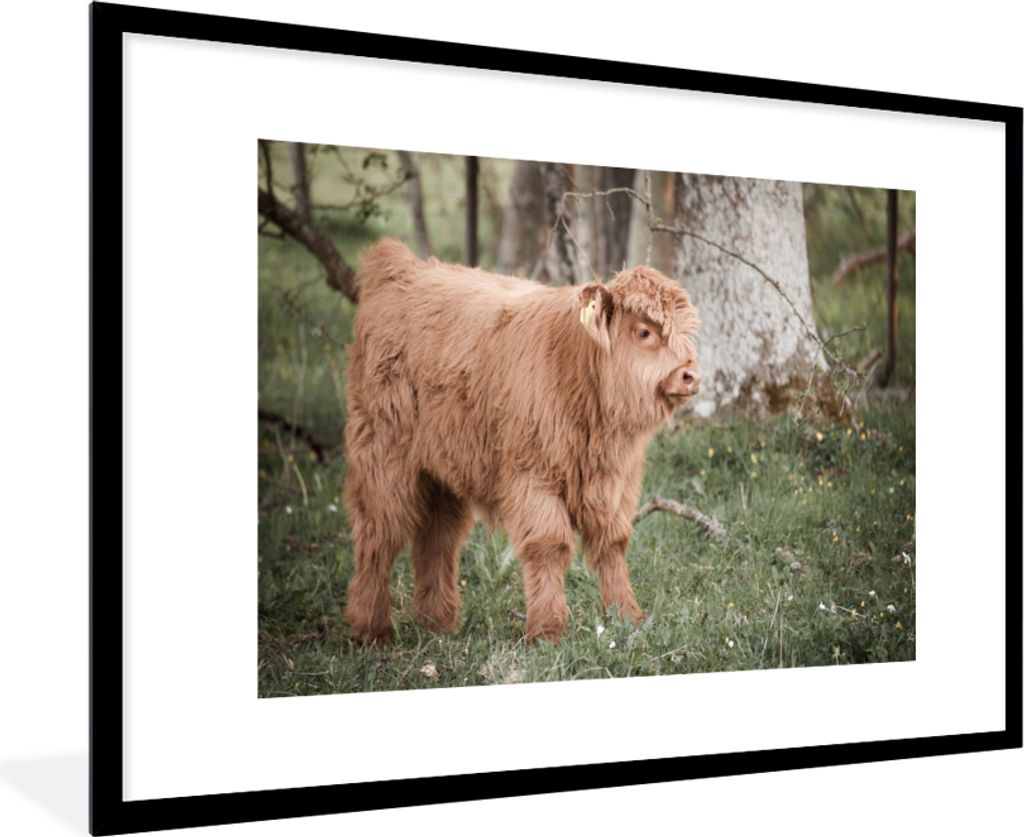 MuchoWow Gerahmtes Poster Schottischer Highlander - Licht - Wald 90x60 cm - Poster mit Schwarzem Bilderrahmen Wandposter Rahmen Foto Bilder - Wan...