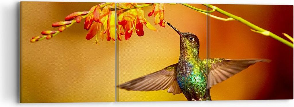 Bild auf Leinwand - Leinwandbild - Kolibri Vogel Sommer - 90x30cm - Wand Bild - Wanddeko - Leinwanddruck - Bilder - Kunstdruck - Wanddekoration - L...