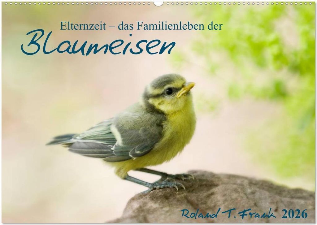 Elternzeit - das Familienleben der Blaumeisen (Wandkalender 2026 DIN A2 quer), CALVENDO Monatskalender