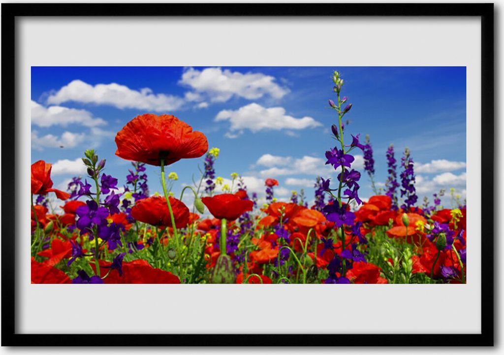Bild 70x50 MDF-Rahmen Wandkunst Pflanze Tulpen