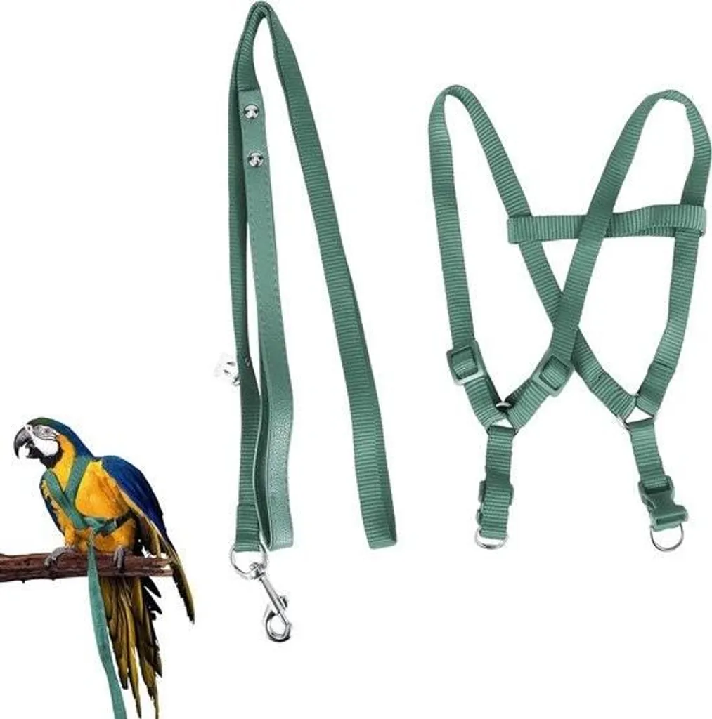 Laisse pour sortie oiseaux et perroquets - Harnais réglable pour vol