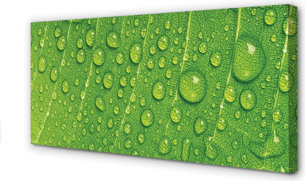 Leinwandbild 120x60 Wandkunst Tropfen Blatt Makro
