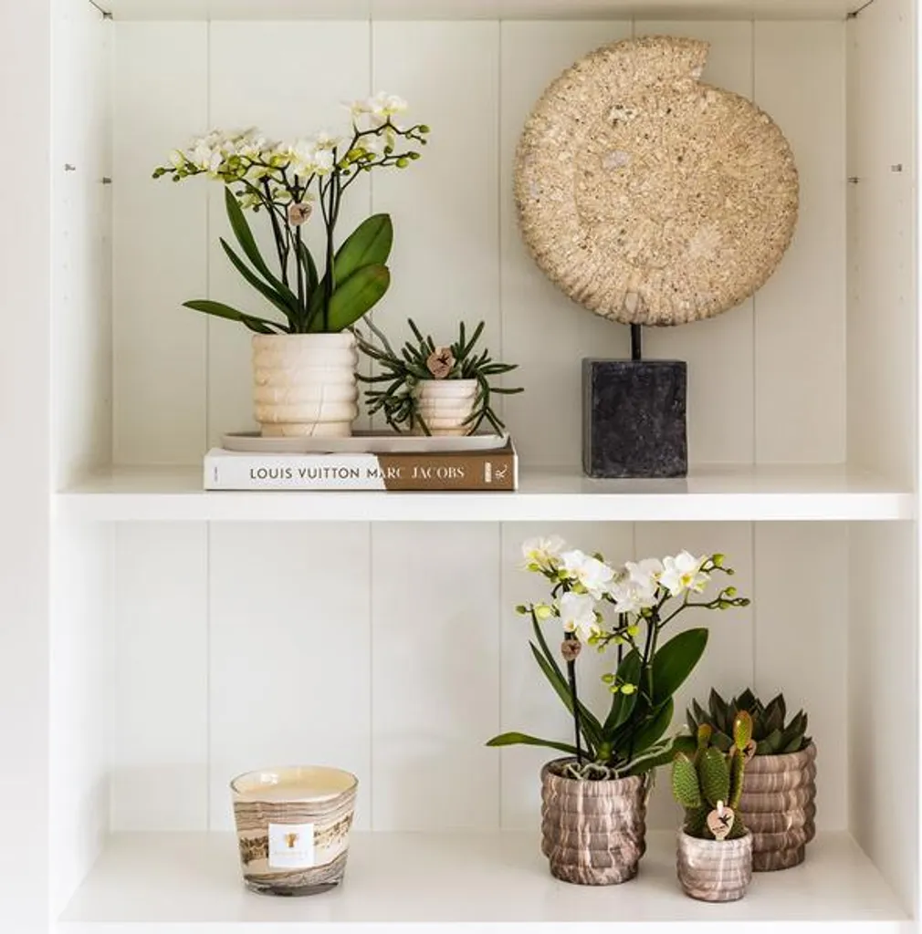Petit pot de fleurs en céramique design marbre clair pour orchidées - 4