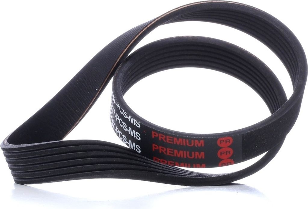 MASTER-SPORT 6PK737-PCS-MS Keilrippenriemen, Flachriemen für VW GOLF III (1H1)