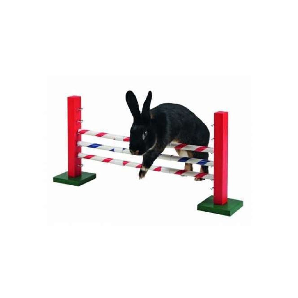 Kerbl salto ripido per roditori Agility 70x5x35 cm Immagine del prodotto 