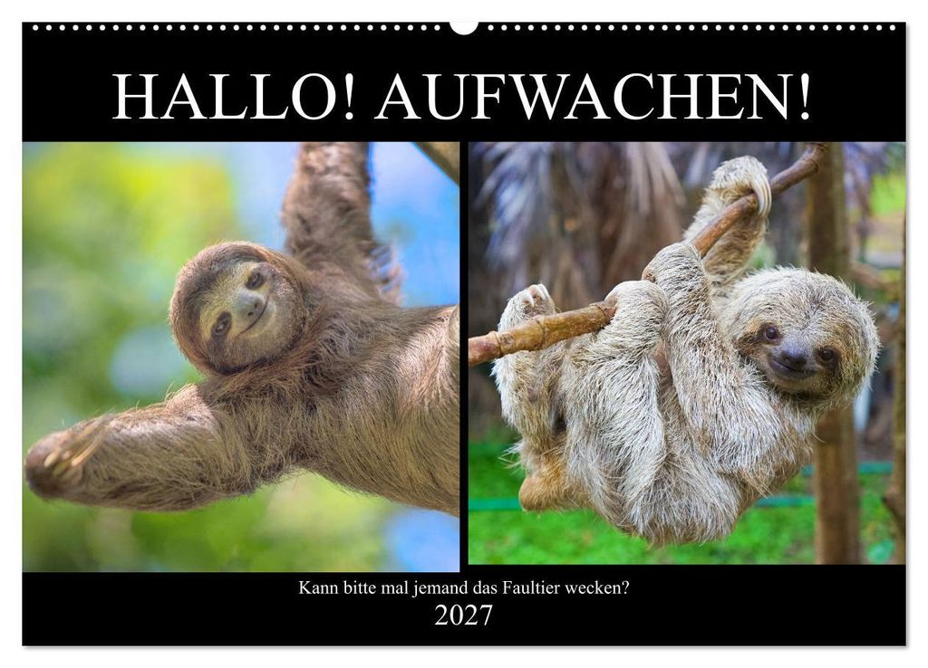 Hallo! Aufwachen! Kann bitte mal jemand das Faultier wecken? (Wandkalender 2027 DIN A2 quer), CALVENDO Monatskalender