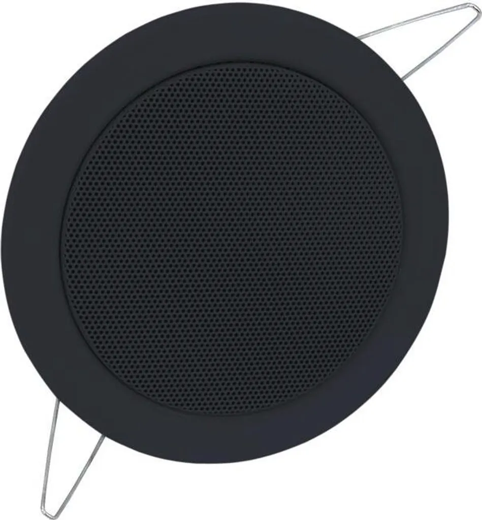 Omnitronic 80710205: Miglior Rapporto Qualità/Prezzo Altoparlante 6W