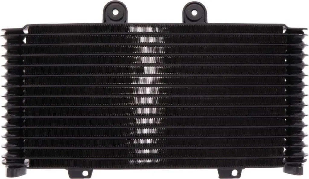 Refroidisseur d'huile haute performance JMP pour Suzuki GSF Bandit 1200