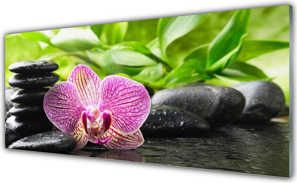 Glasbilder 125x50 Wandbild Druck auf Glas Blumen Steine Pflanzen