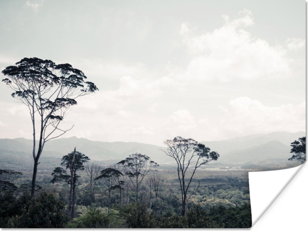 MuchoWow Poster Bäume - Luft - Natur 120x90 cm - Wandbild