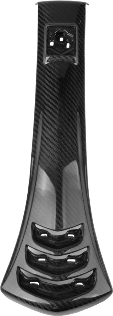 Carbon Kaskade für Vespa GTS 300 HPE, 19 >>22