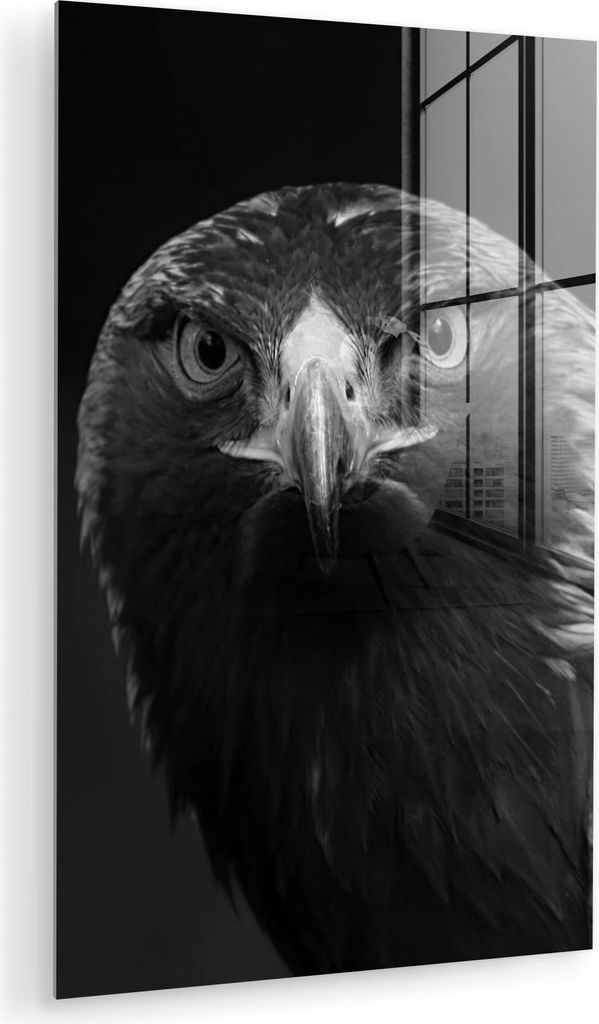 MuchoWow Glasbilder - Bilder auf Wandbild - Foto auf Glas Bussard - Vogel - Tiere - Schwarz - Weiß 80x120 cm Wanddekoration aus Glas - Acrylglasbi...