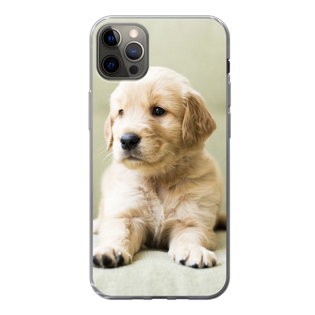 MuchoWow Handyhülle Schutzhülle Hülle für iPhone 13 Pro Max Golden Retriever Welpe auf dem Sofa liegend Silikon Softcase Handy Hülle - Mobil...