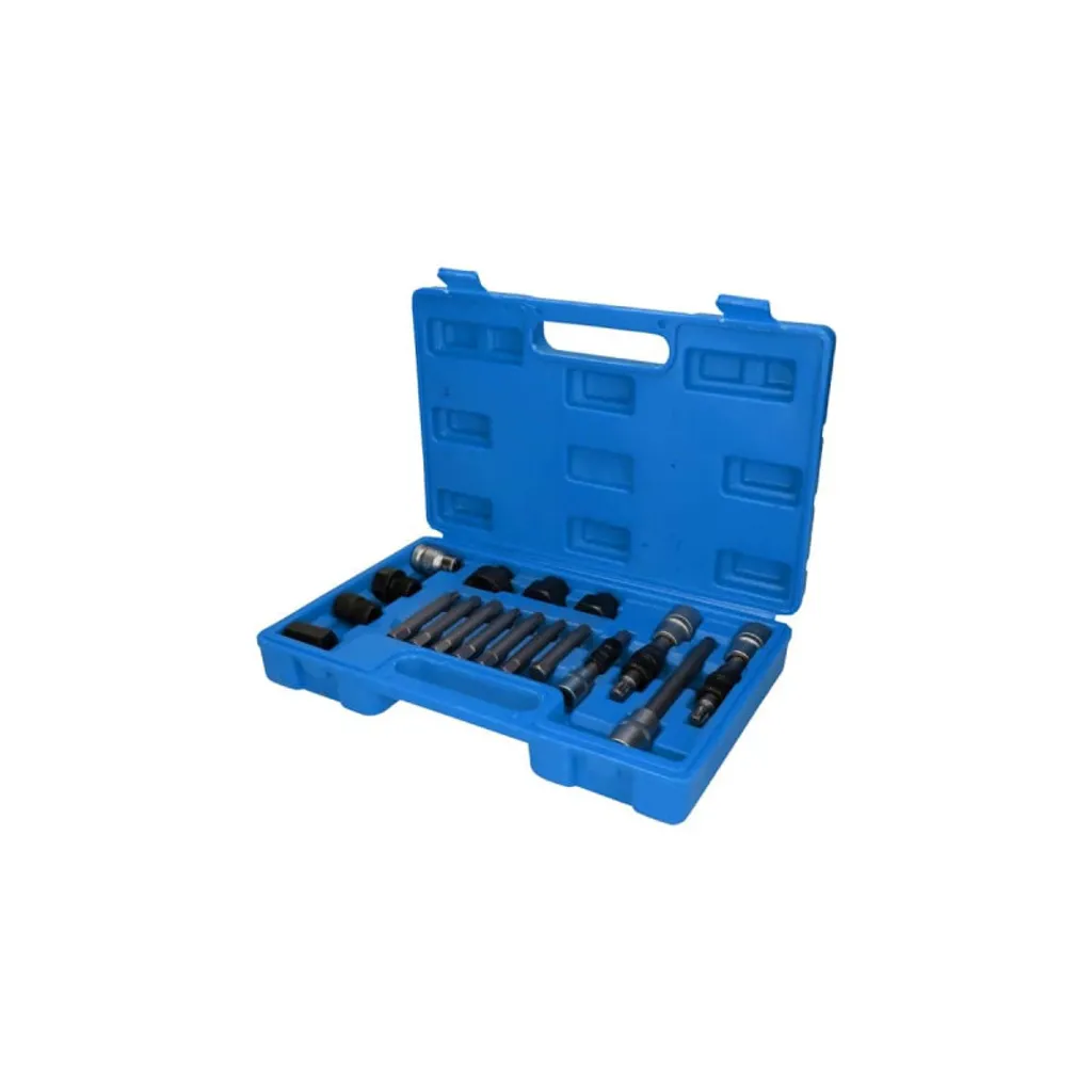 Jeu de douilles pour alternateur BT571020 en acier robuste - 18 outils