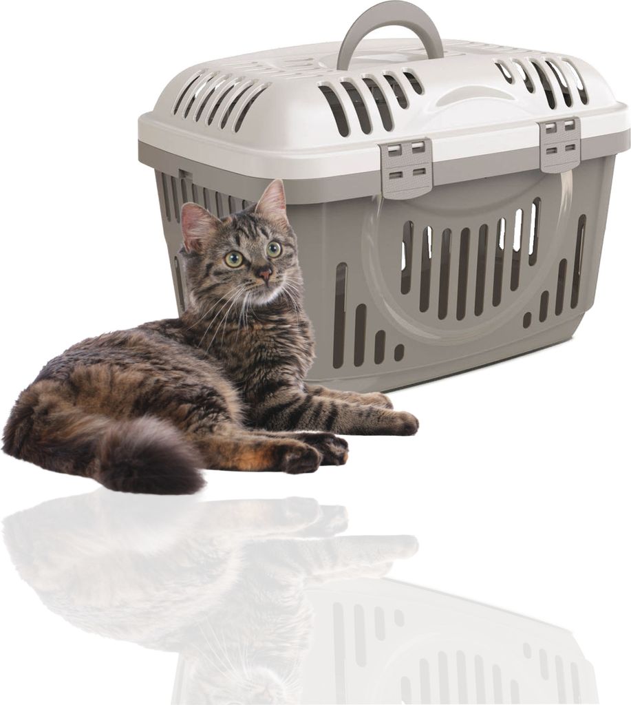 Rohrschneider Katzen Transportbox | Transportbox Katze | Tierbox | Transportbox mit Griff | Katzenbox | Transportbox Katze groß, Farbe:grau