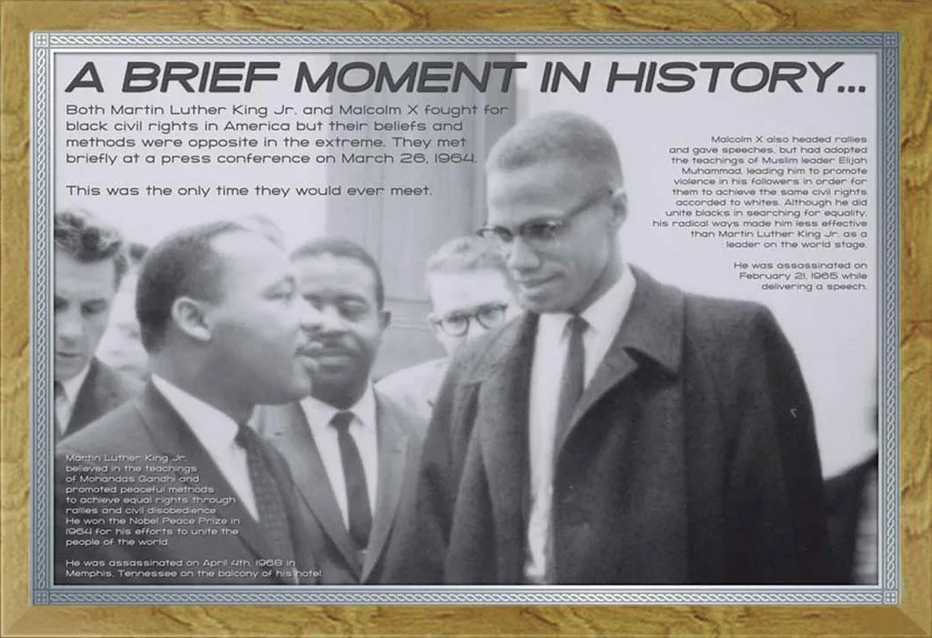Quadro MLK & Malcolm X Cornice Rovere Shinsuke - Qualità Top