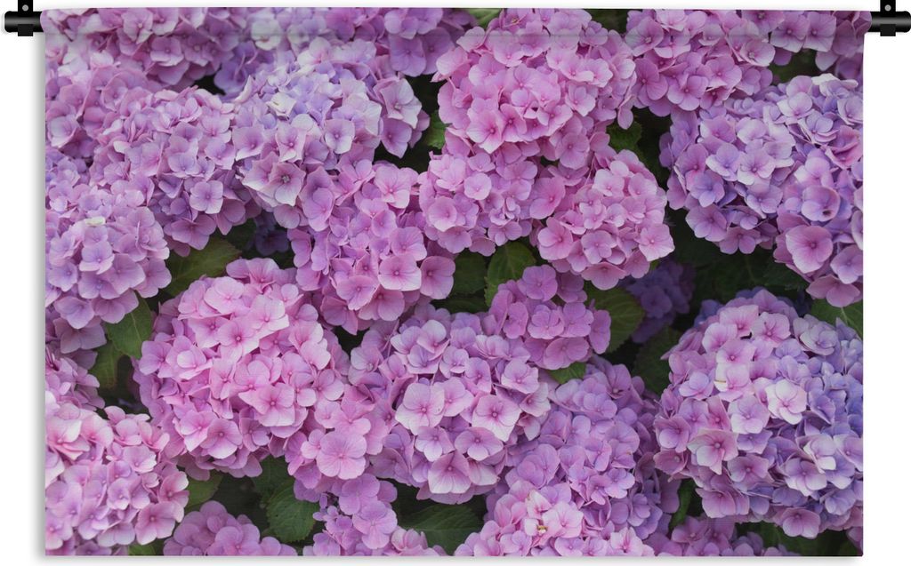 MuchoWow Wandteppich Wandbehang Blumen - Hortensie - Strauch - Rosa - Blütenblätter 120x80 cm Tapisserie Dekoration Wandtuch - Wanddekorationen...