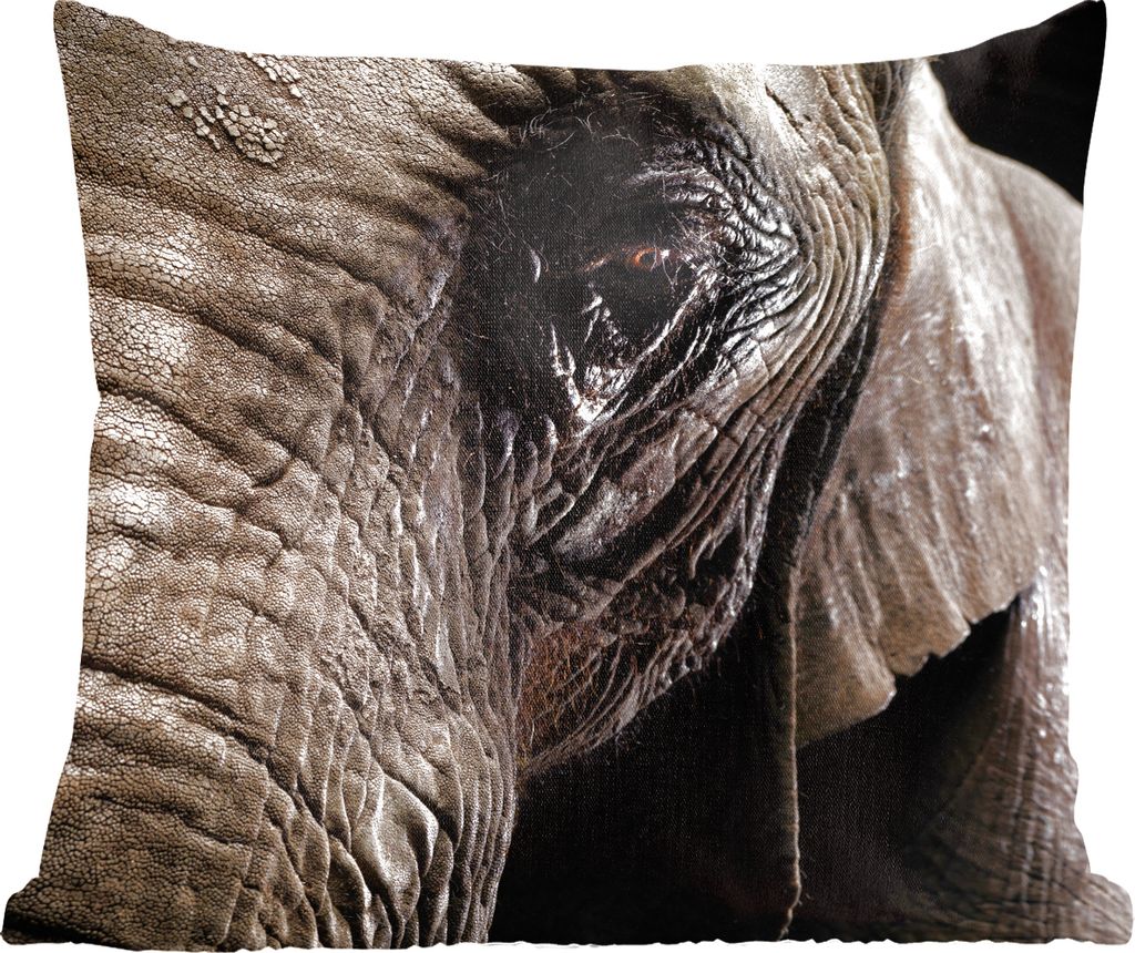 MuchoWow Zierkissen Sofakissen Wohnzimmer Dekokissen 40x40 cm Elefant - Tiere - Nahaufnahme - Schwarz - Foto Kissen - Schlafzimmer Dekoration