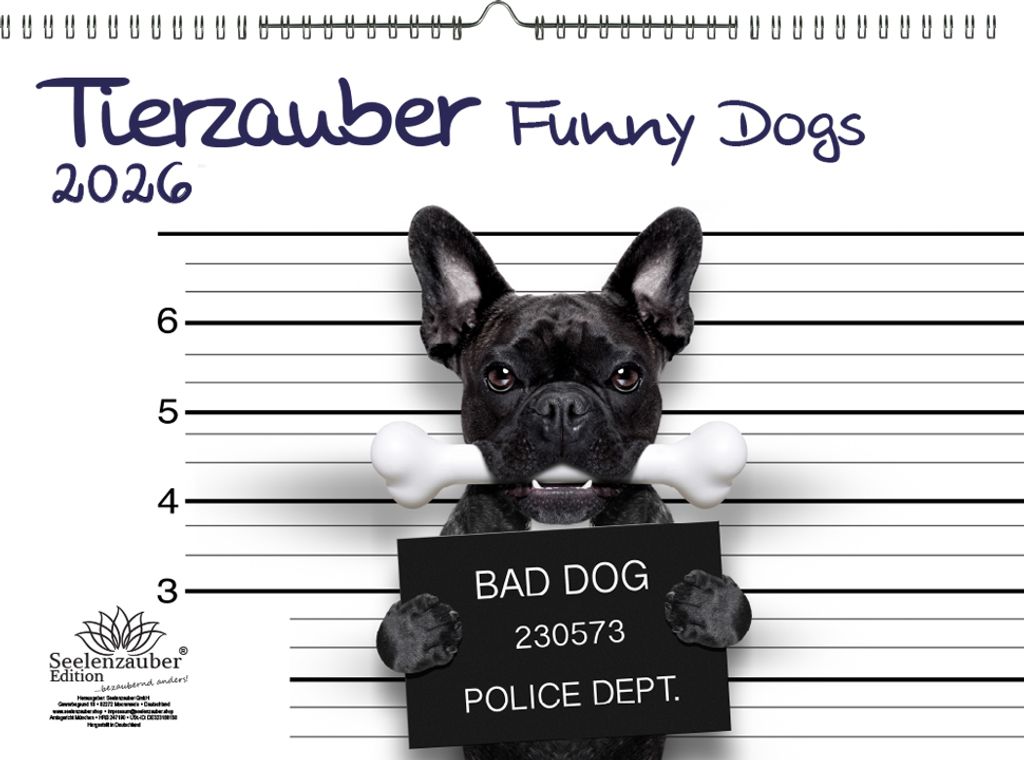 Tierzauber Funny Dogs DIN A3 Kalender für 2026 Hunde Welpen - Seelenzauber