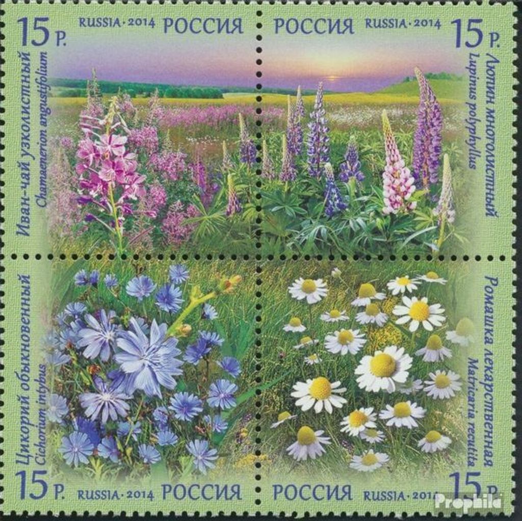 Briefmarken Russland 2014 Mi 2027-2030 Viererblock (kompl.Ausg.) postfrisch Feldblumen