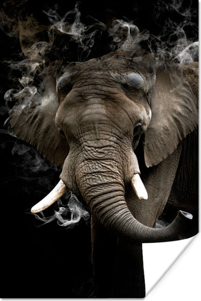 MuchoWow Poster Elefant - Rauchen - Schwarz 120x180 cm - Kunstposter
