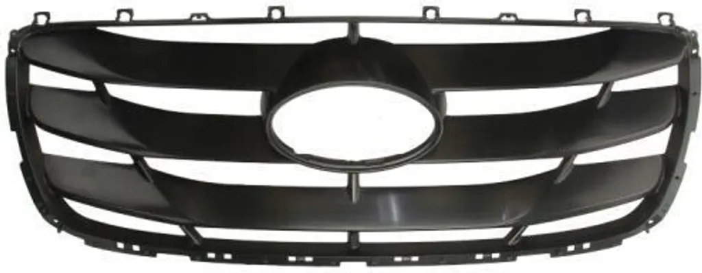 Grille de calandre BLIC 6502-07-3181991P pour Santa Fe II OE 865612B700