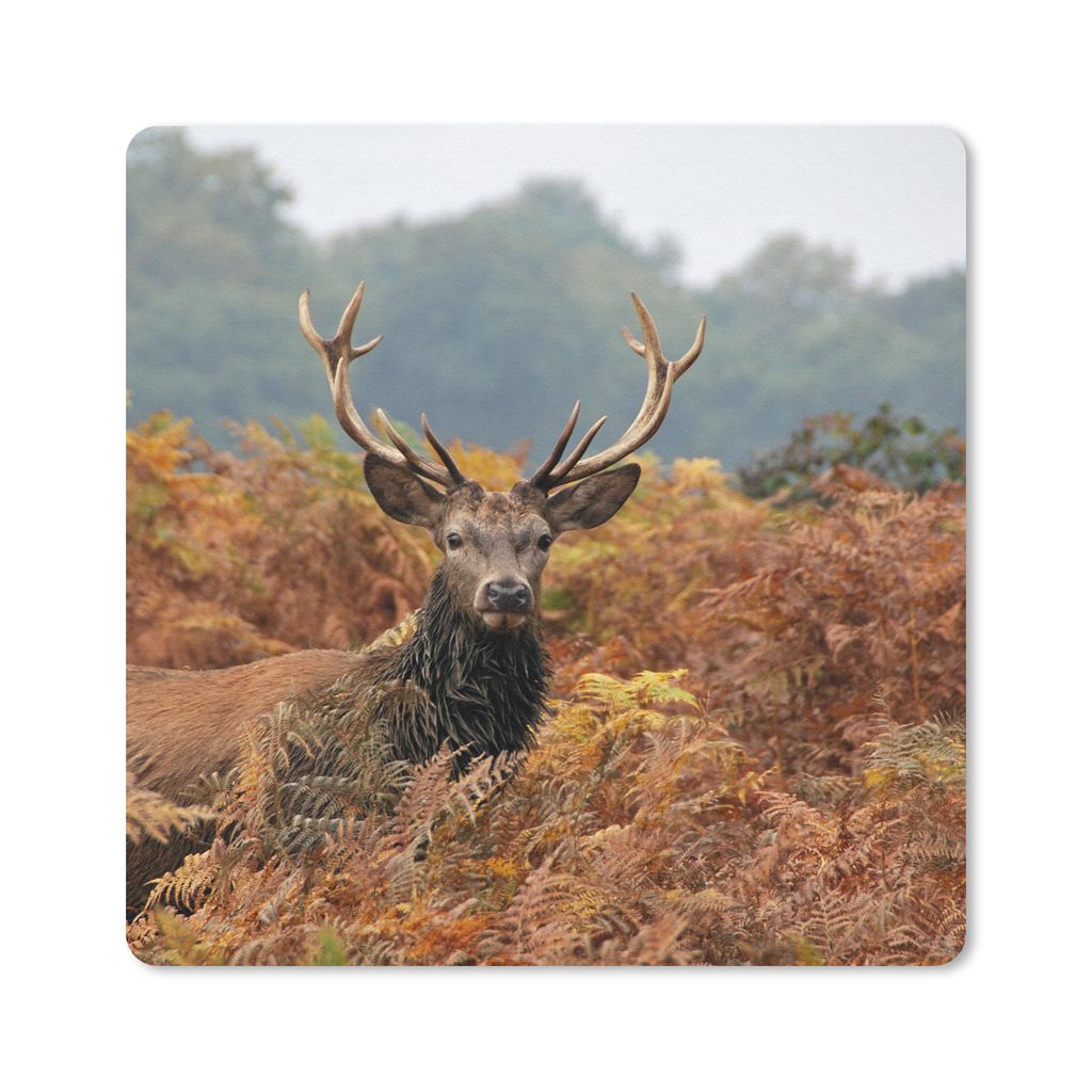 MuchoWow Mauspad Mousepad Hirsch - Baum - Herbst 20x20 cm - Mousepads - Maus Mat - Pad - Mausunterlage - Desk Mat - Bureauartikeln