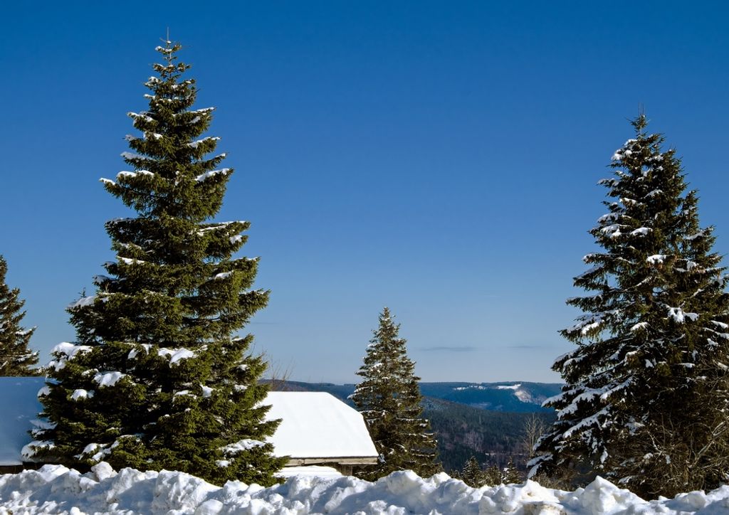 hansepuzzle 48051 - Schnee Puzzle, 260 Teile, Natur, 41,0 x 28,0cm mit hochwertiger Aufbewahrung, Kartonbox und wiederverschließbarem Beutel