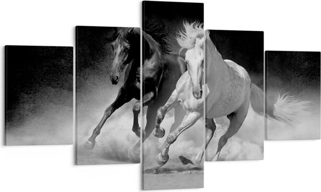 Bild auf Leinwand - Leinwandbild - 5 Teile - Andalusier Pferde Galopp - 125x70cm - Wand Bild - Wanddeko - Wandbilder - Leinwanddruck - Bilder - Wan...