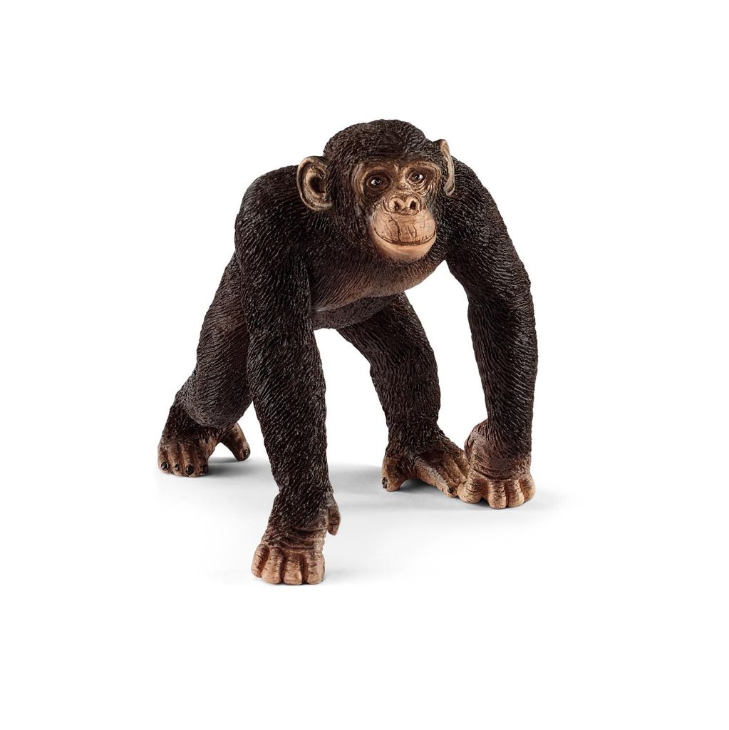 Schleich Schimpanse Männchen Produktbild 