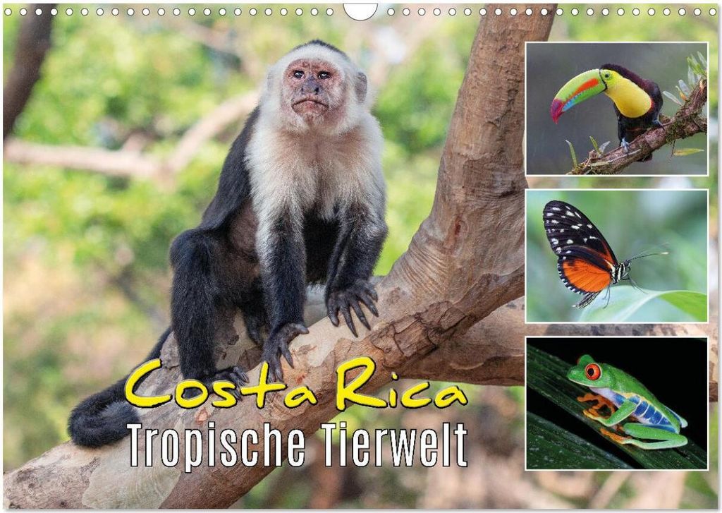 Costa Rica - Tropische Tierwelt (Wandkalender 2026 DIN A3 quer), CALVENDO Monatskalender