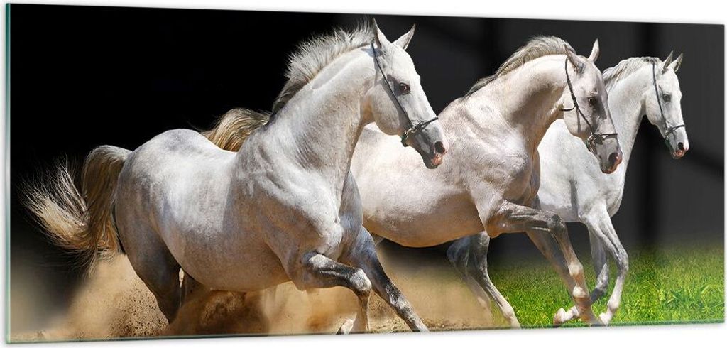 Bilder auf glas - Pferde Sand Gras - 100x40cm - Glasbilder - Wandbilder - Kunstdruck - zum Aufhängen bereit - Wanddekoration aus Glas - Glas Bilde...
