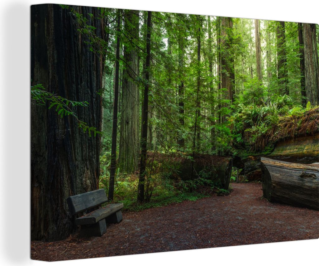 OneMillionCanvasses - Leinwandbilder - 140x90 cm, Eine Gruppe von Mammutbäumen, Wandbilder Kunstdruck Wanddekoration - Foto auf Leinwand - Gemä...