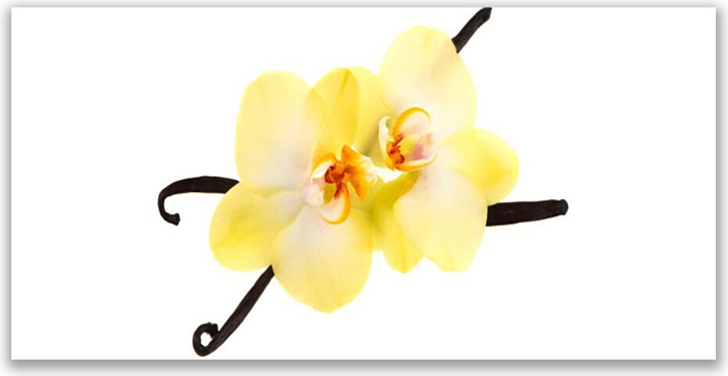 Küchenrückwand aus Glas 120x60cm Spritzschutz Blumen Pflanzen