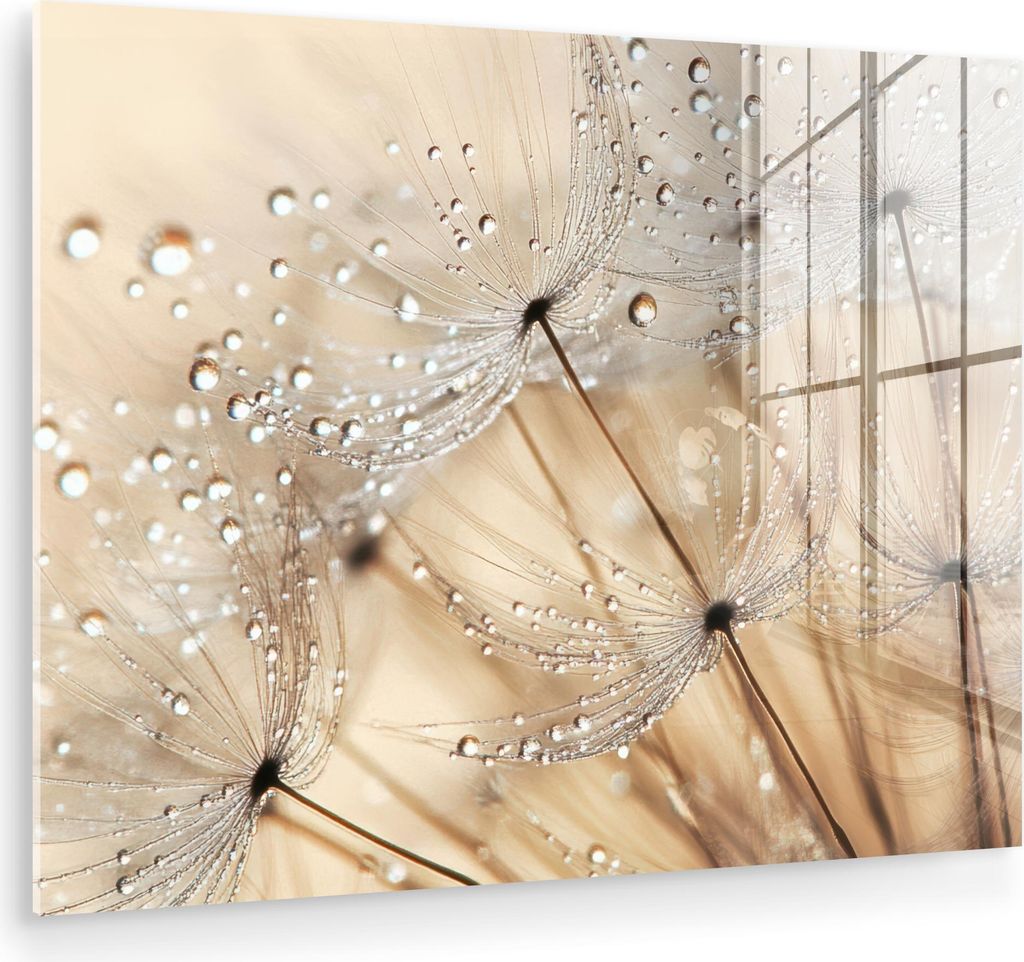 MuchoWow Glasbilder - Bilder auf Wandbild - Foto auf Glas Löwenzahn - Abstrakt - Natur - Beige 80x60 cm Wanddekoration aus Glas - Acrylglasbild - ...