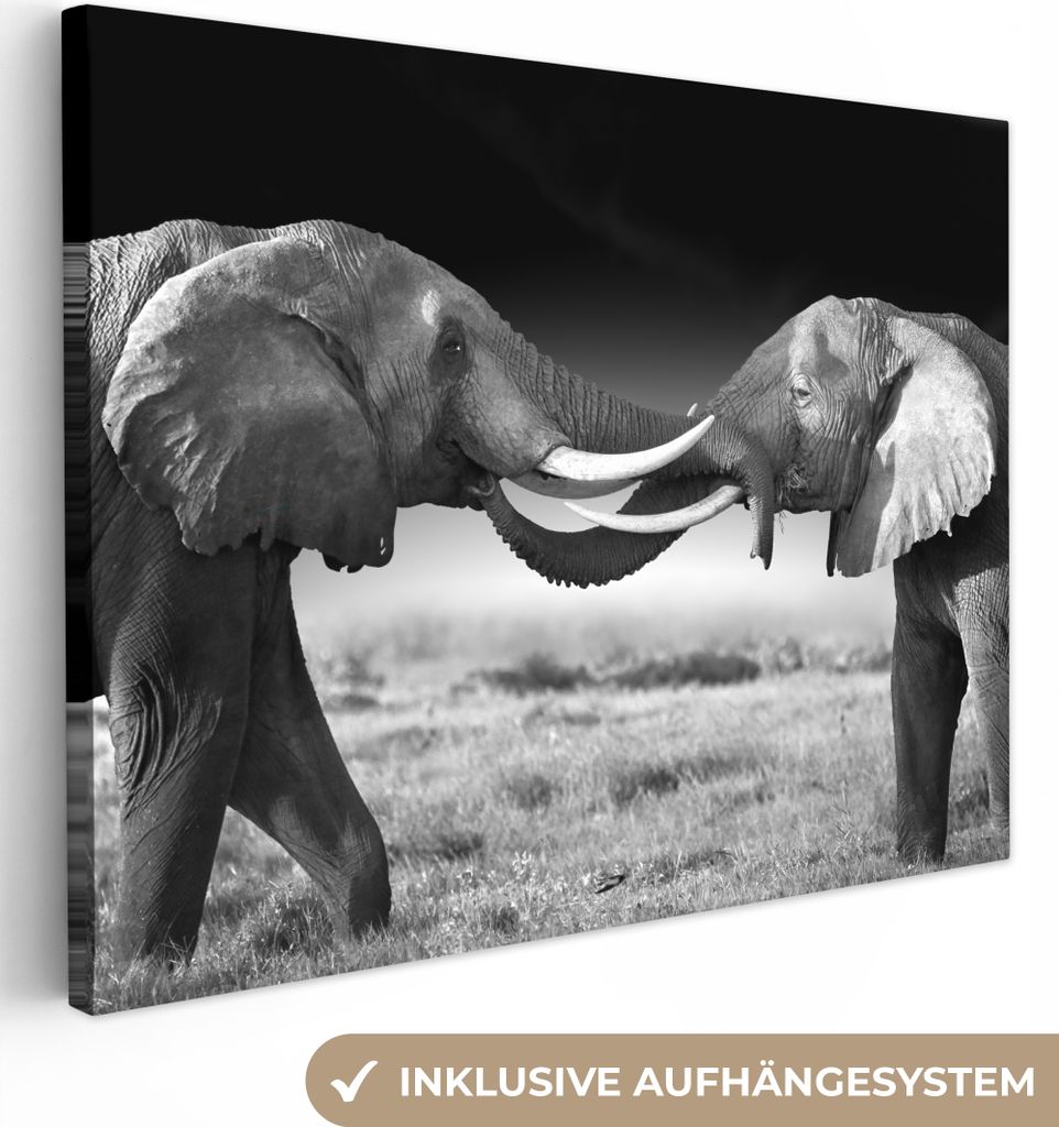 MuchoWow - Leinwandbilder - Elefant - Tiere - Schwarz und weiß - Porträt - Landschaft, Wandbild, Wanddeko Bilder Wohnzimmer, 120x90 cm