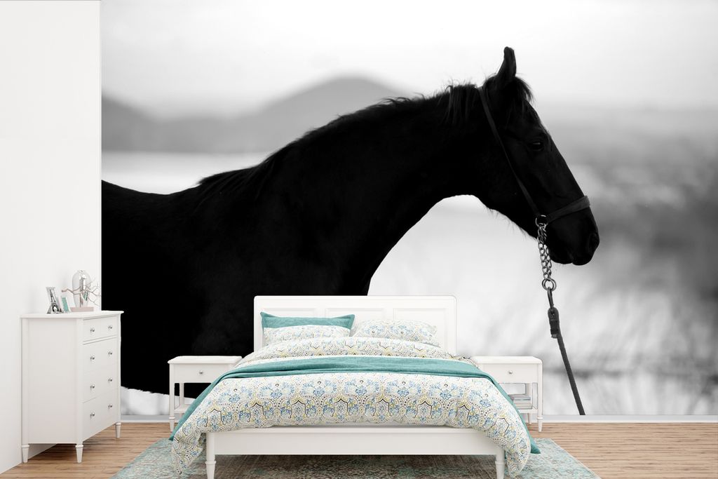 MuchoWow Fototapete für Wohnzimmer oder Schlafzimmer Wandtapete Vinyl Motivtapete Porträt eines Marwari - schwarz und weiß - 360x240 cm - Viny...