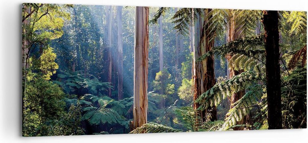 Bild auf Leinwand - Leinwandbild - Einteilig - Morgendämmerung Bäume Wald - 100x40cm - Wand Bild - Wanddeko - Wandbilder - Leinwanddruck - Bilder...