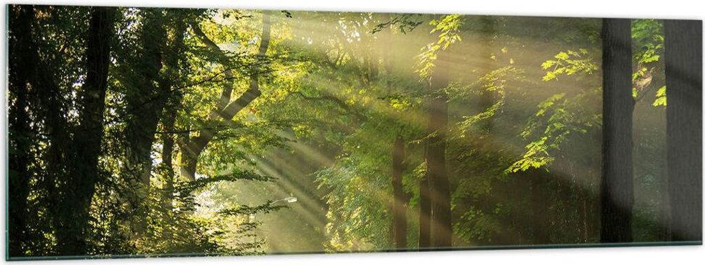 Bilder auf glas - Wald Baum Natur - 160x50cm - Glasbilder - Wandbilder - Kunstdruck - zum Aufhängen bereit - Wanddekoration aus Glas - Glas Bilder...