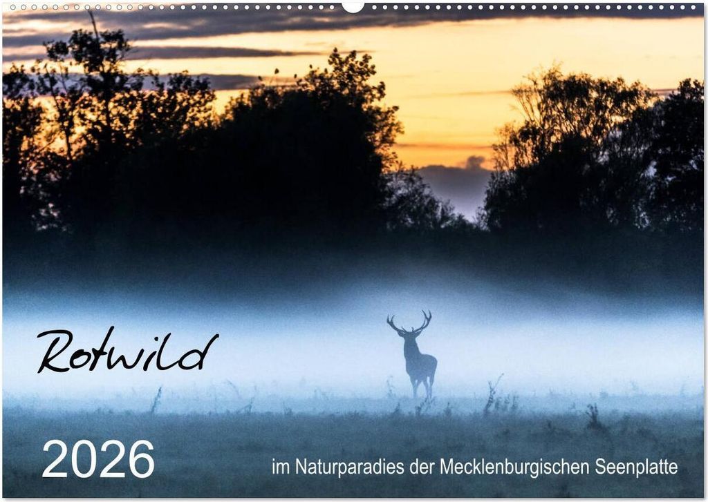 Rotwild - im Naturparadies der Mecklenburgischen Seenplatte (Wandkalender 2026 DIN A2 quer), CALVENDO Monatskalender